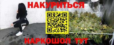 крисы Бузулук